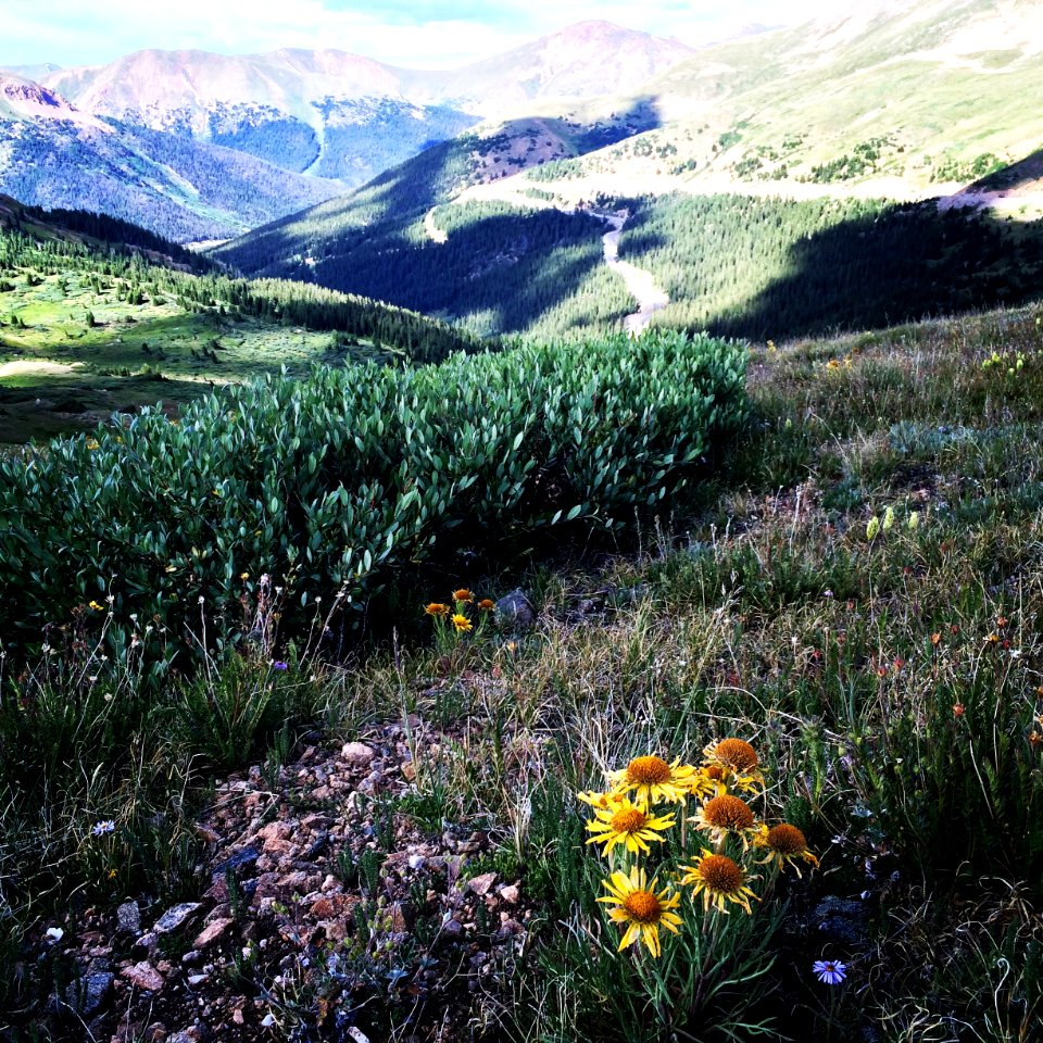 Colorado, United states, Peace