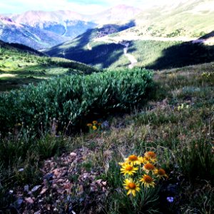 Colorado, United states, Peace