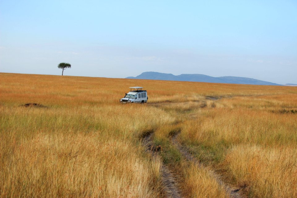 Masai mara game reserve, Kenya, Vehicle
