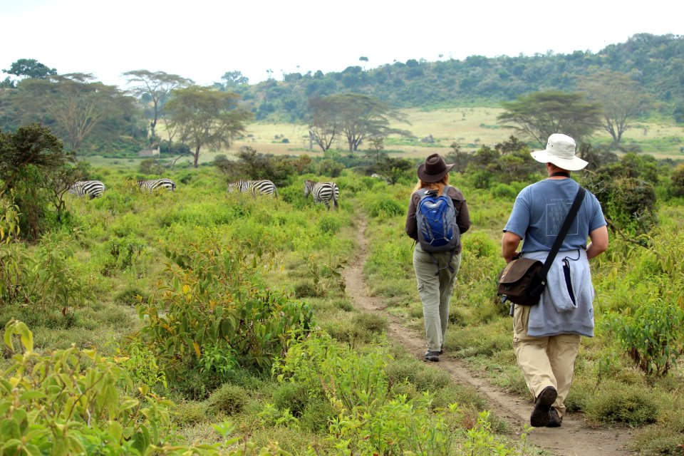 Mount longonot hiking trail, Kenya, Animals