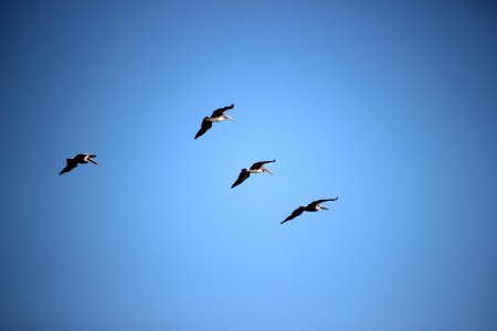 Key biscayne, United states, Flying