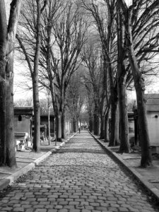 P re lachaise, Paris, France