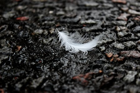 Texture, Fragile, Street photo