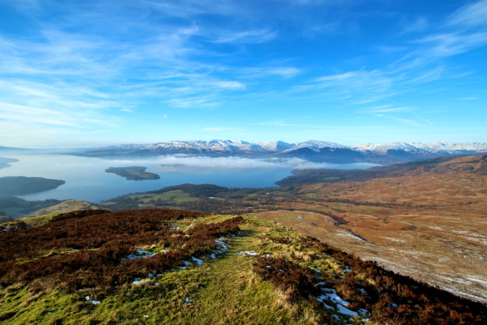 Loch lomond, United kingdom, Trees