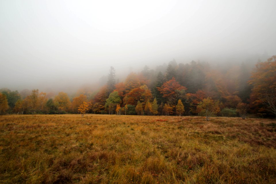 Parc naturel r gional des ballons des vosges, Munster, France