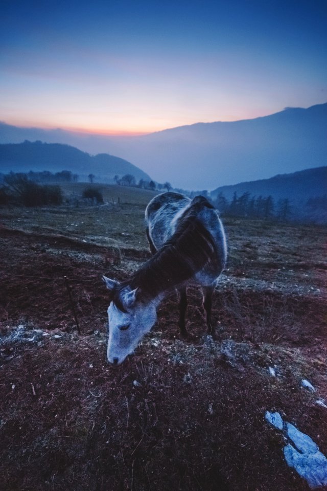 Fosse, Italy, Blue hour