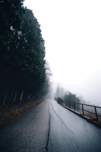 Verona, Italy, Mist