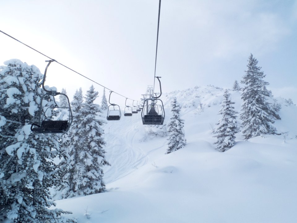 Mountain, Trees, Wintersport
