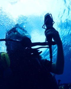 Maldives, Padi, Diving