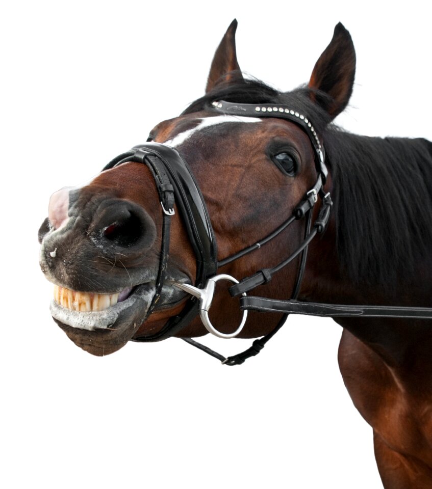 Smile content white background