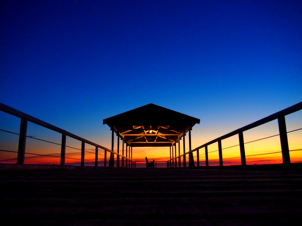 silhouette of cat standing on boat dock