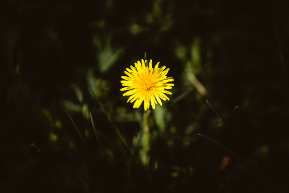 Beautiful, Proud, Lonely