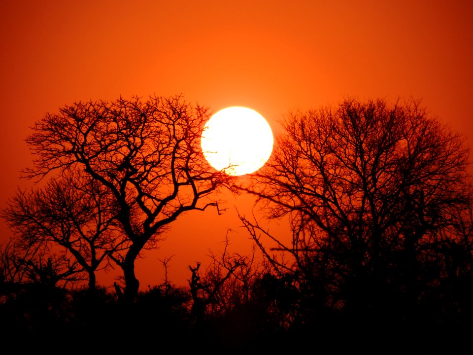 South africa, Nature, Sunset