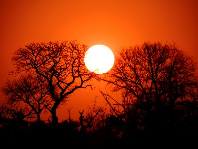 South africa, Nature, Sunset