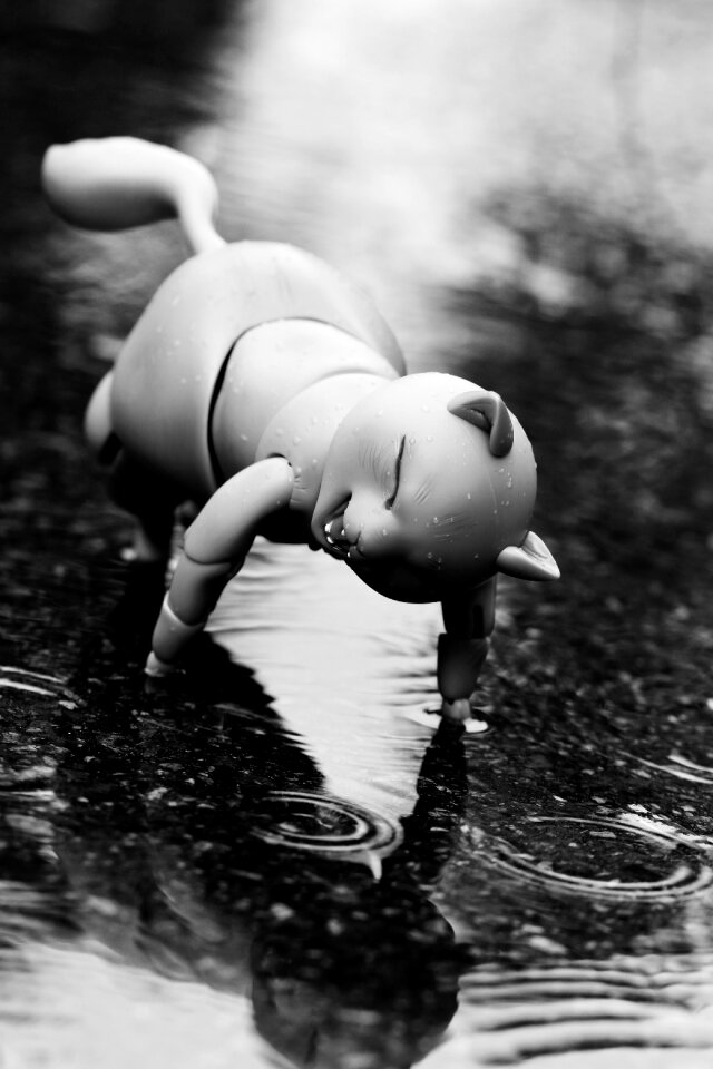 Rain fun water