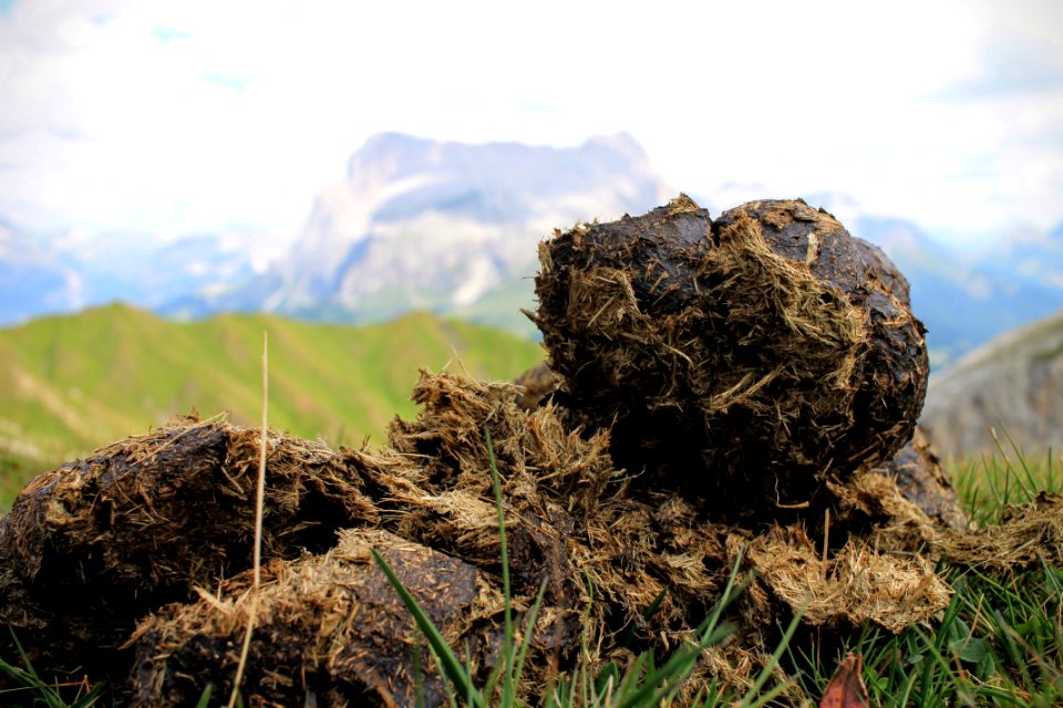 Love, Alpe di siusi, Compaccio
