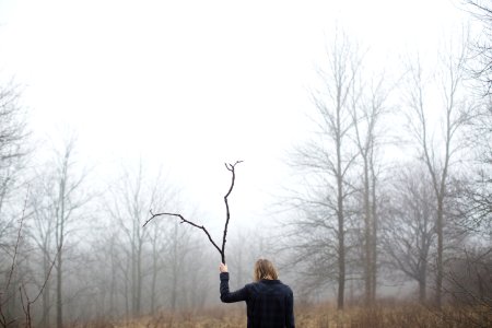 person holding driftwood