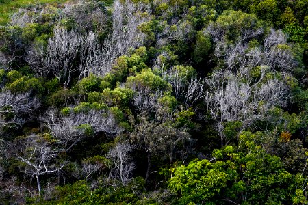 Conservation, Earth, Hiking