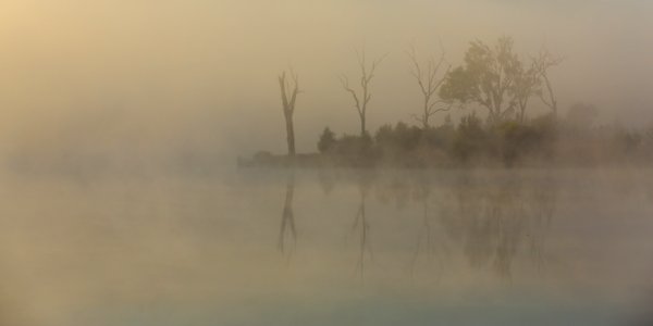 Fog, Eerie, Mysterious photo