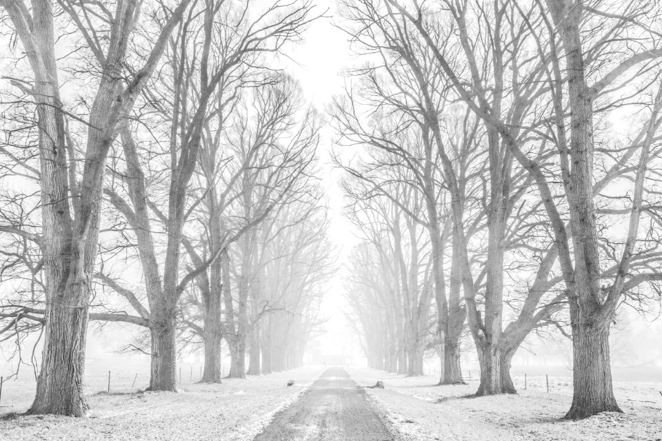 Australia, Gostwyck, Snow