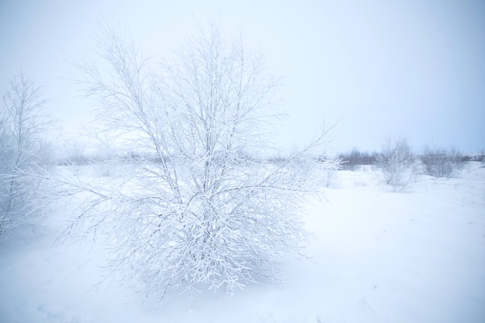 Icel, Geysir, Ice