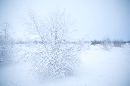 Icel, Geysir, Ice photo