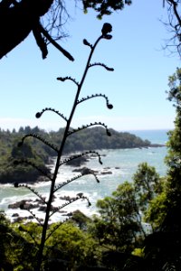 Gisborne, New zeal, Sea
