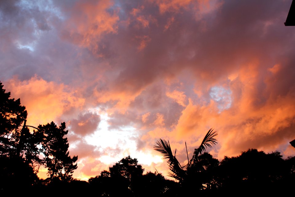 Greenhithe, Auckl, New zeal