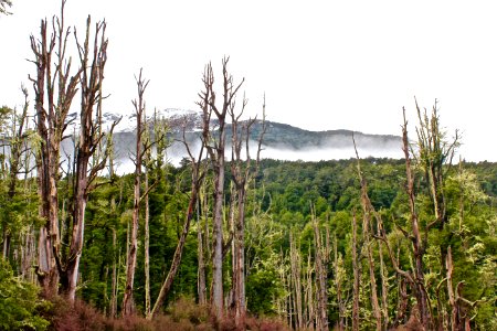 Diamond lake, New zeal, Mountain range photo