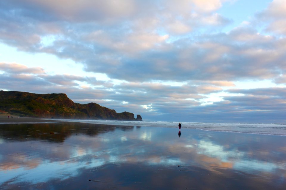 Bethells beach, New zeal, Scape