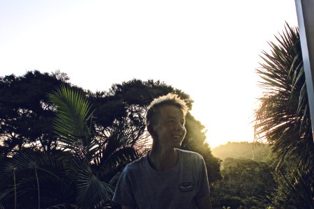 Boy, Sun, Palm trees