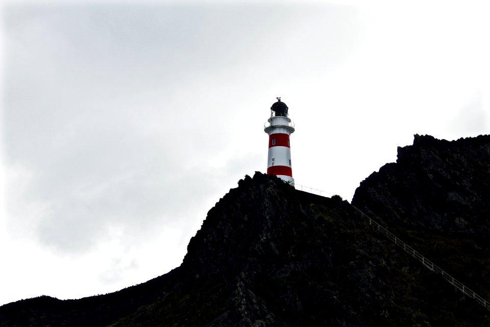 New zeal, Ngawi, Cape palliser