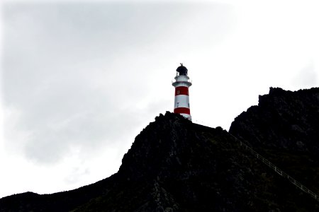 New zeal, Ngawi, Cape palliser photo