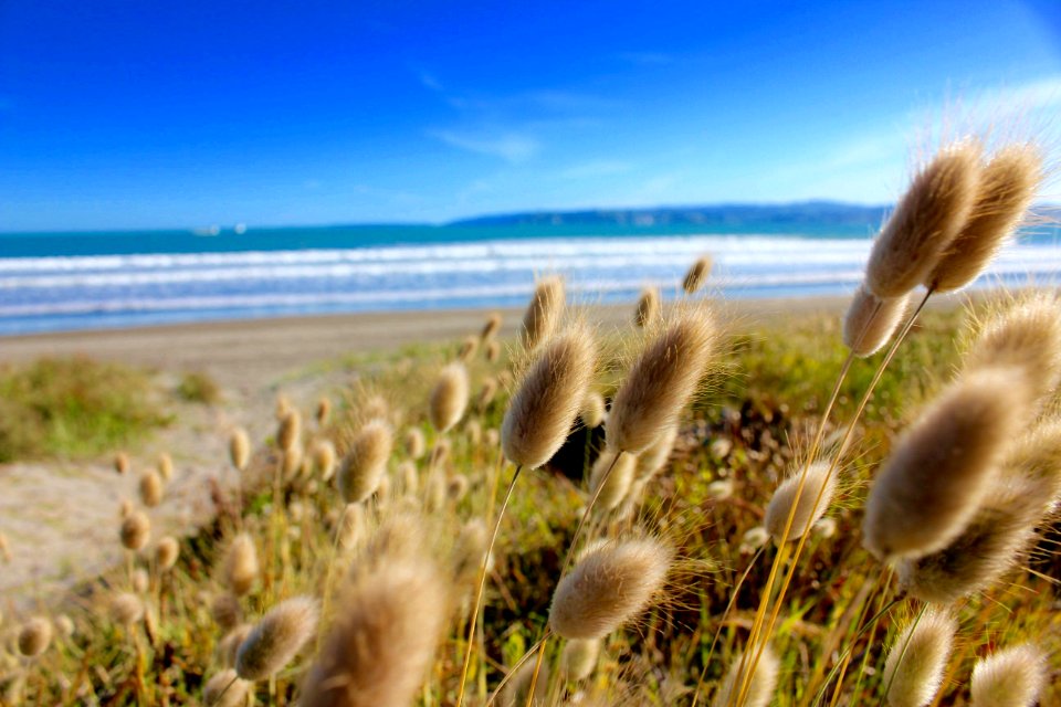 New zeal, Gisborne, Mountains