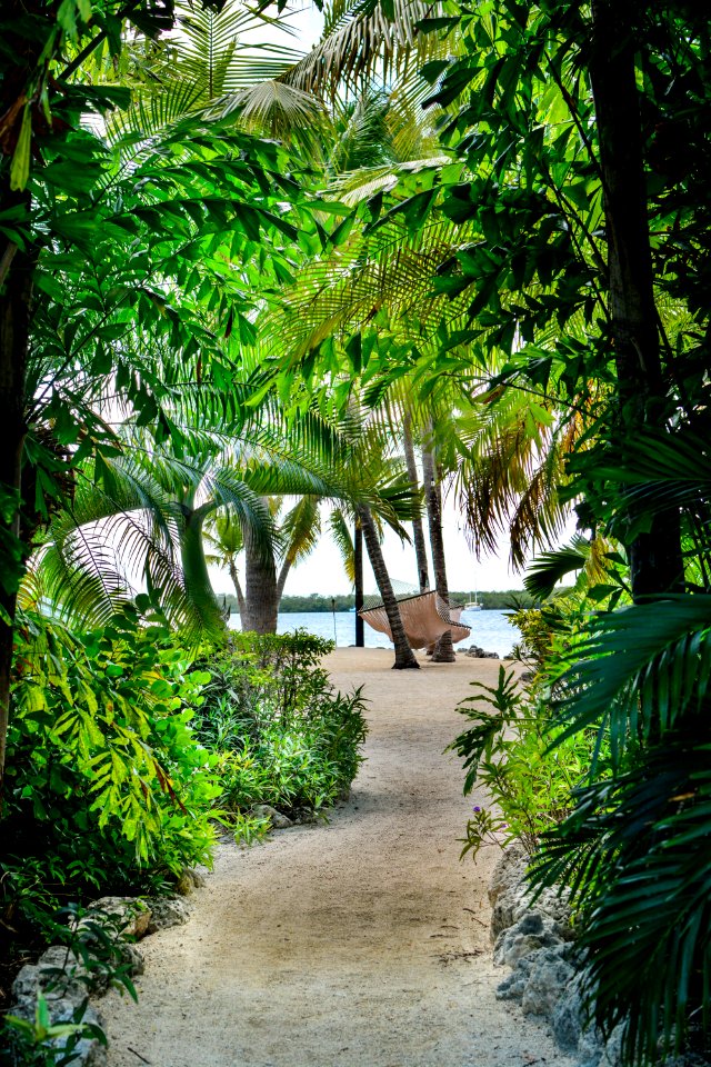 Ocean, Tavernier, United states