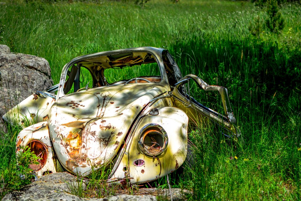 wrecked white Volkswagen Beetle coupe on grass