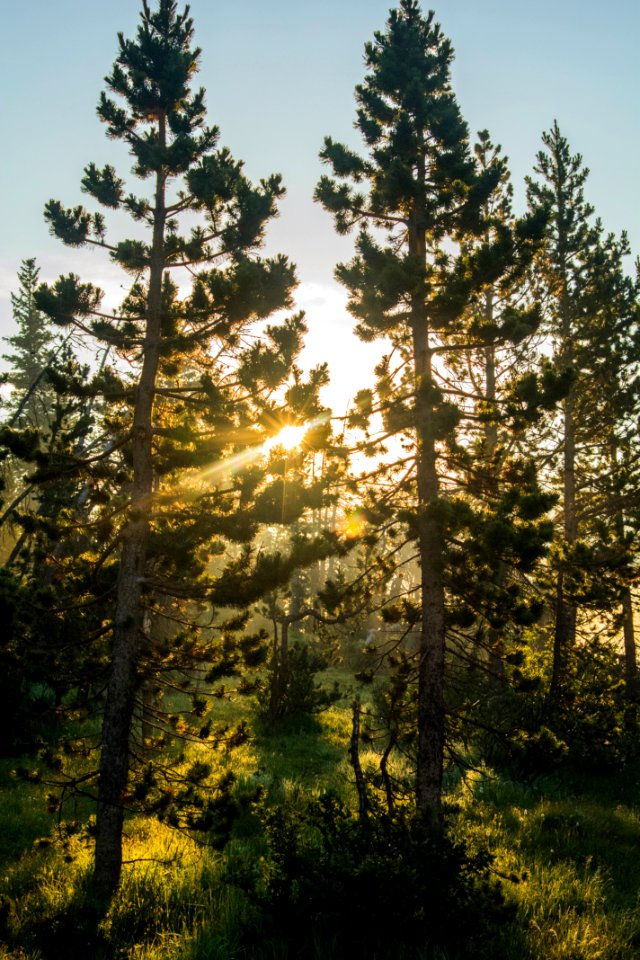 Long draw reservoir, United states, Camping