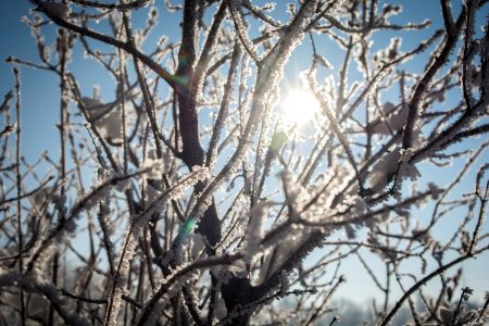 Lovel, United states, Bokeh