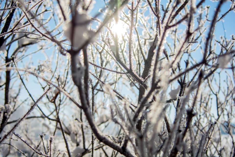 Lovel, United states, Sun