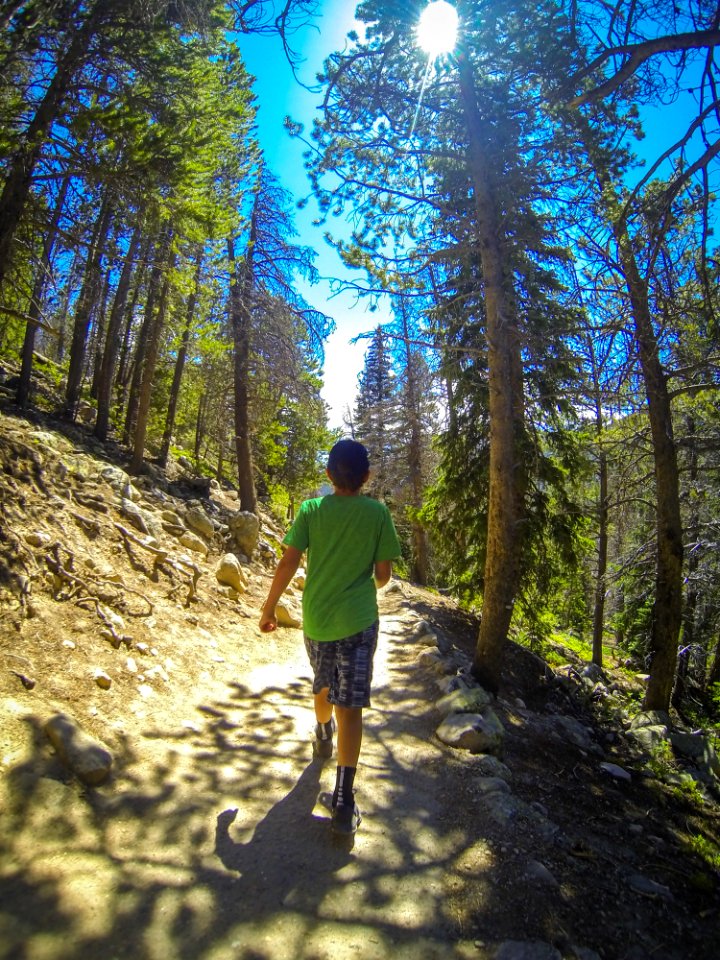 Bear lake trailhead, Estes park, United states