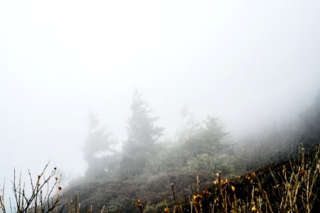 Great smoky mountains, United states, Mood photo