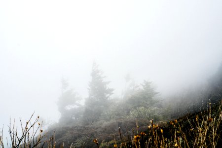 Great smoky mountains, United states, Mood