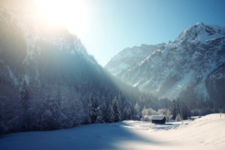 snowy mountain surrounded with trees photo