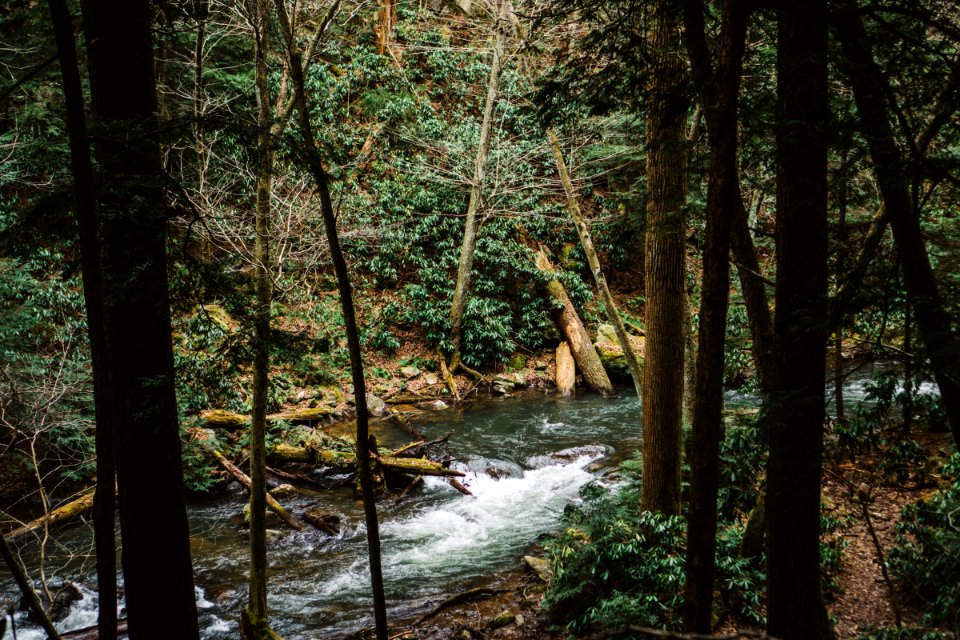 Fall creek falls state park, Spencer, United states