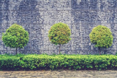 green leafed trees and plants beside chain fence