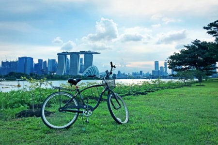 Singapore, Green, Grass