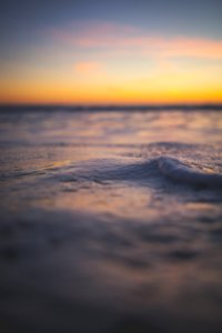 shallow focus of body water