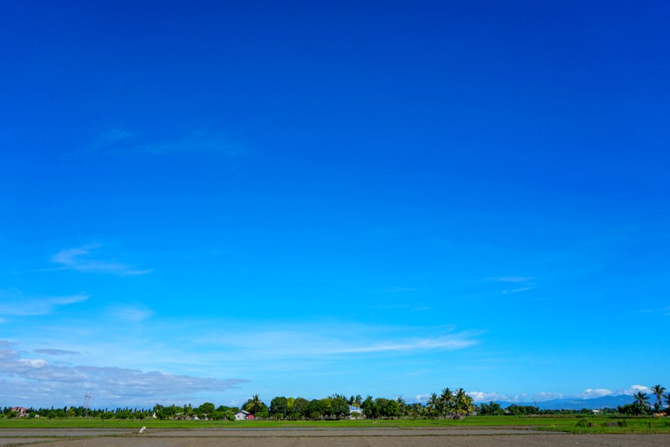 Nature, Sky, Field