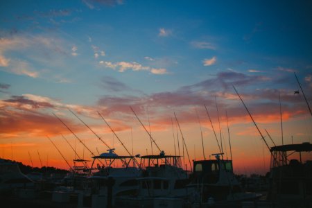 Delaware seashore state park campground, Bethany beach, United states