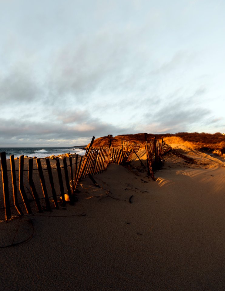 brown wooden fence on brown sand during daytime